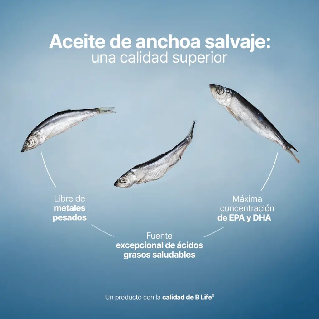 Omega-3 B Life Platinum – 180 Cápsulas 3.webp