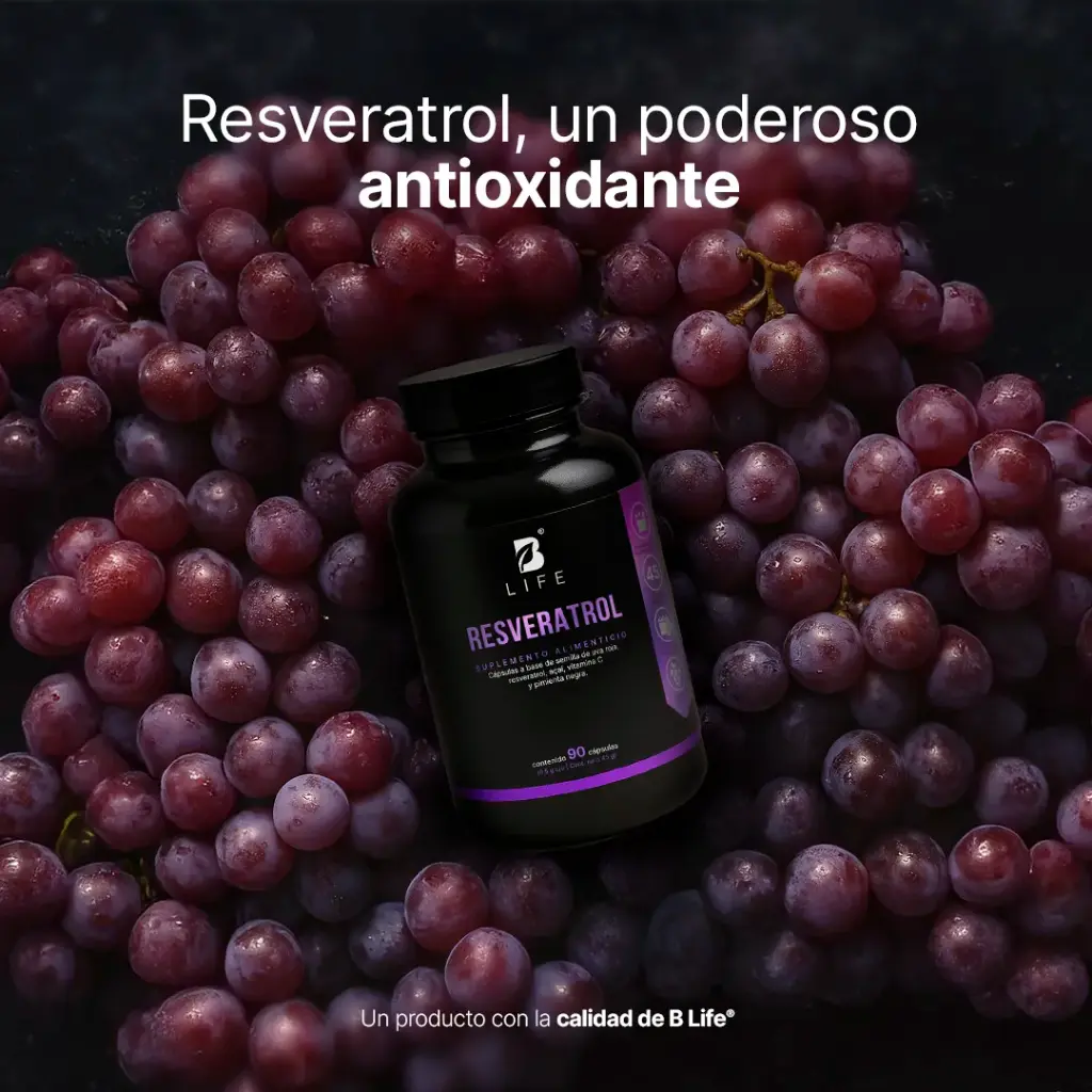 Resveratrol B Life – 90 Cápsulas 7.webp