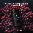 Resveratrol B Life – 180 Cápsulas 8.webp