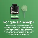 Creatina Optimum Nutrition Micronized – 600 g 5.webp